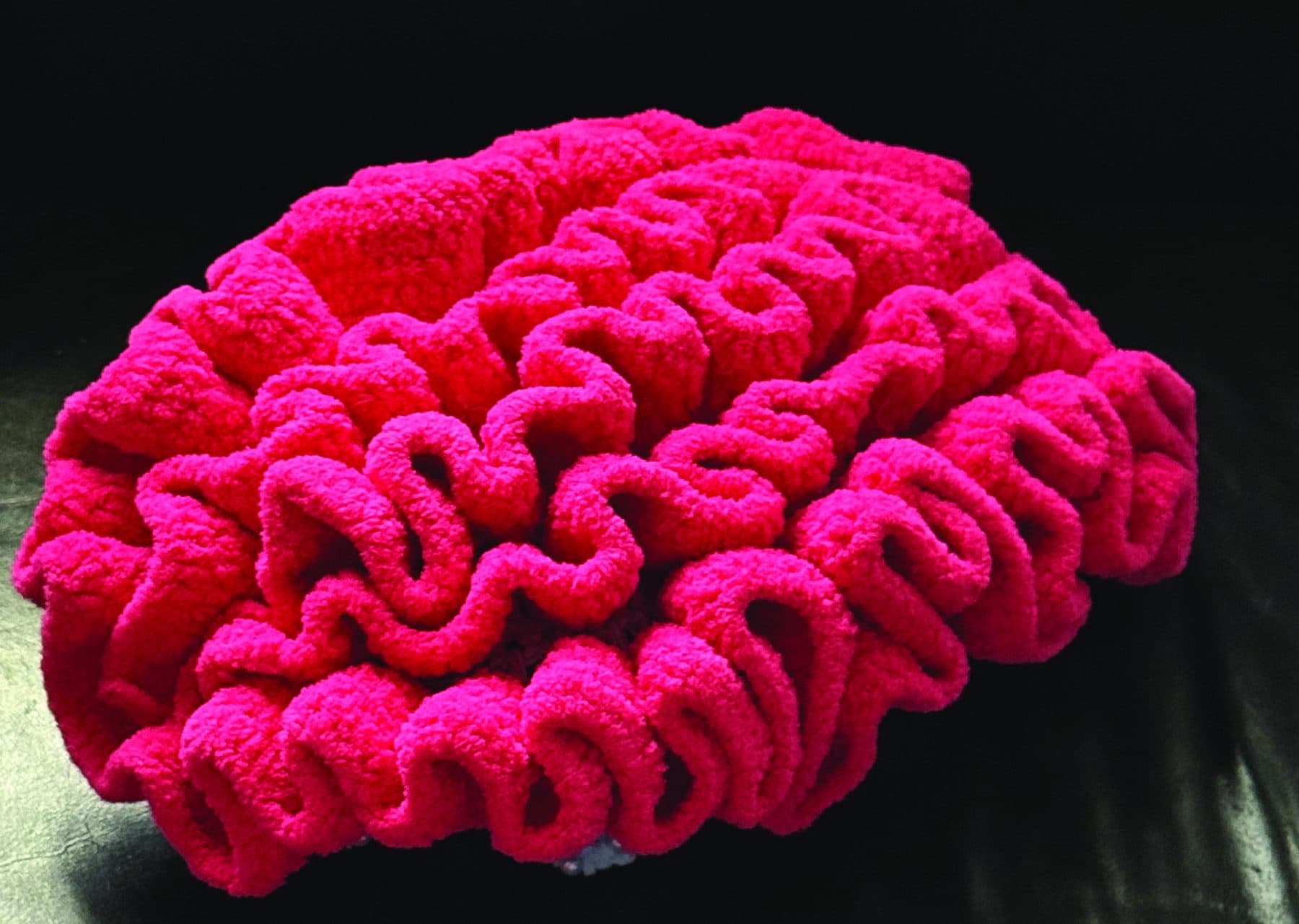 Brain, a crocheted Soft Creature by Alexandrina Hristov