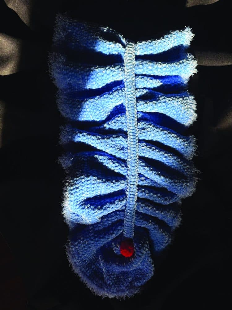Oslobastrius, detail 1